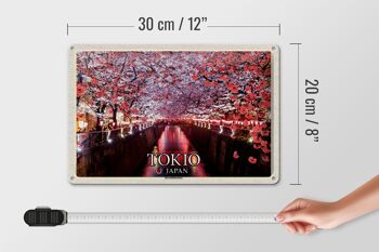 Panneau de voyage en étain, 30x20cm, Tokyo, japon, Festival des fleurs de cerisier, arbres, rivière 4