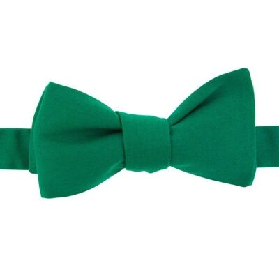 Fir green bow tie