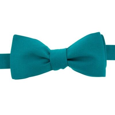 Duck blue bow tie