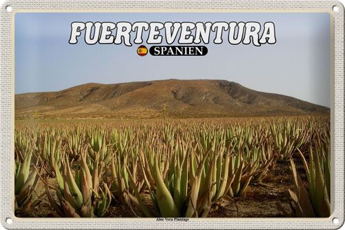 Blechschild Reise 30x20cm Fuerteventura Spanien Aloe Vera Plantage