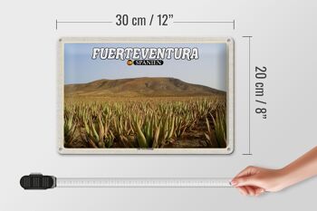Panneau en étain voyage 30x20cm, Fuerteventura espagne, plantation d'aloe vera 4