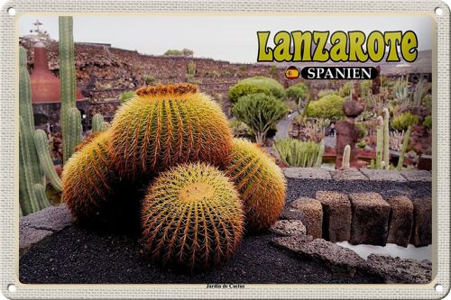 Blechschild Reise 30x20cm Lanzarote Spanien Jardin de Cactus Garten