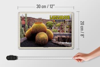 Panneau en étain voyage 30x20cm, Lanzarote espagne Jardin de Cactus 4