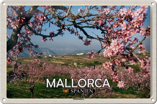 Blechschild Reise 30x20cm Mallorca Spanien Mandelblüten