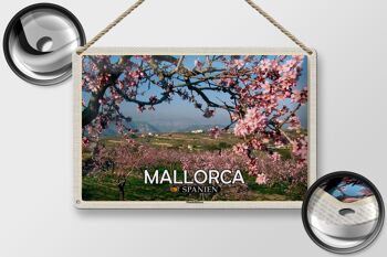 Plaque en tôle voyage 30x20cm Majorque Espagne fleurs d'amandier 2