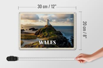 Panneau de voyage en étain, 30x20cm, pays de galles, royaume-uni, Anglesey, île, mer 4
