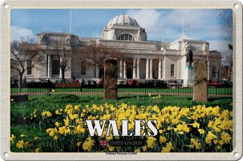 Panneau de voyage en étain, 30x20cm, musée du pays de galles, royaume-uni, Cardiff 1