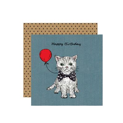 Birthday Tabby Kitten