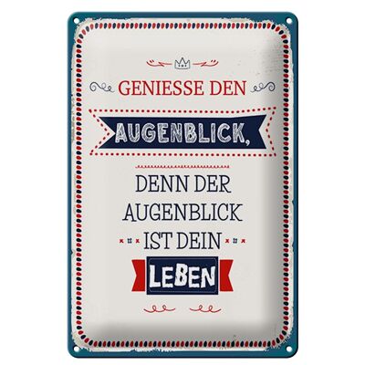 Blechschild Spruch 20x30cm denn der Augenblick ist dein Leben