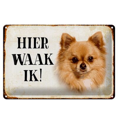 Blechschild Spruch 30x20cm holländisch Hier Waak ik Chihuahua