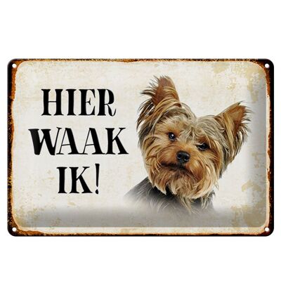 Blechschild Spruch 30x20cm holländisch Hier Waak ik Yorkshire Terrier