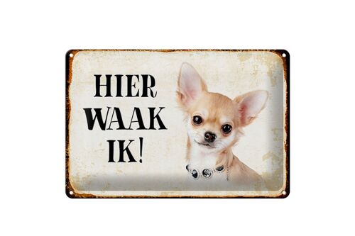 Blechschild Spruch 30x20cm holländisch Hier Waak ik Chihuahua mit Kette