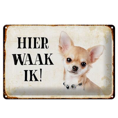 Blechschild Spruch 30x20cm holländisch Hier Waak ik Chihuahua mit Kette