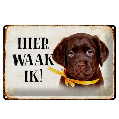 Blechschild Spruch 30x20cm holländisch Hier Waak ik Labrador Puppy