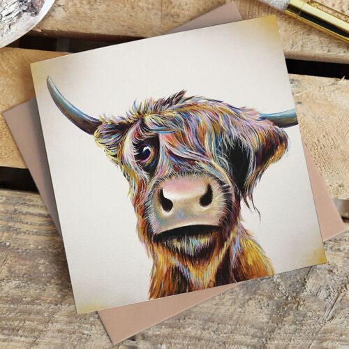 Greetings Card - A Bad Hair Day Highland Cow