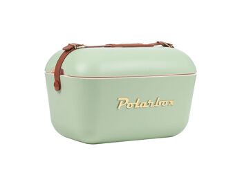 Polarbox Printemps/Été Pique-nique, Camping, BBQ Rétro Glacière 12L - Vert Olive Classique 1