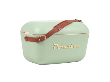 Polarbox Printemps/Été Pique-nique, Camping, BBQ Rétro Glacière 12L - Vert Olive Classique 2