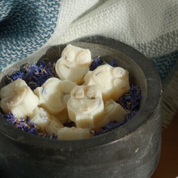 Pivoine, Blush Suede Scented Wax Melts - Cire de colza et de noix de coco 2