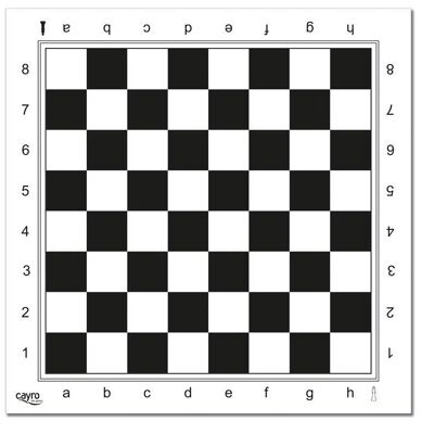 Professionelles Schachbrett – 45 x 45 cm – Schwarz und Weiß