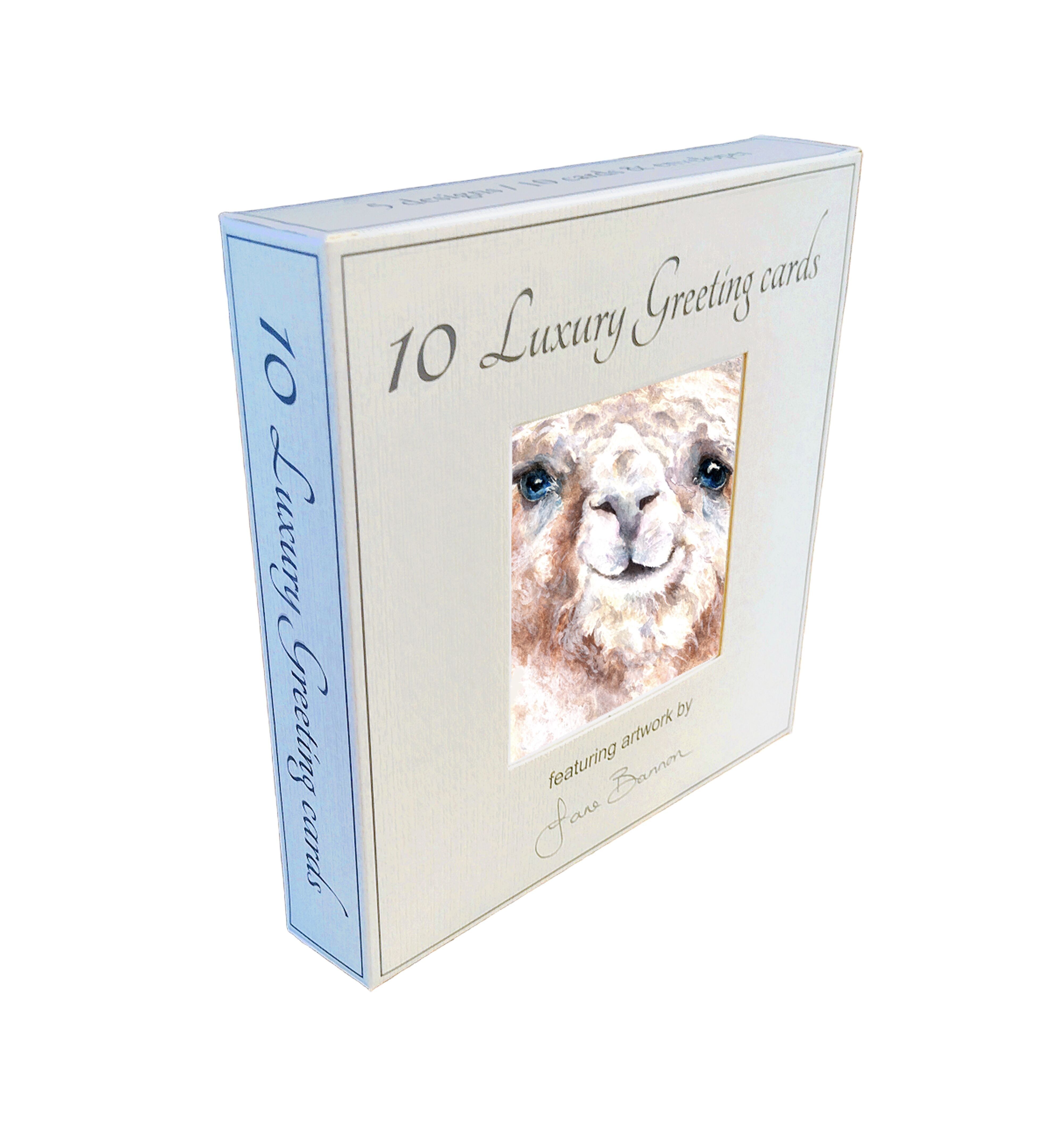 Cofanetto Alpaca 10 carte
