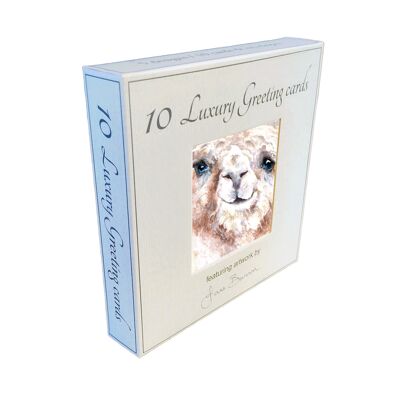 Cofanetto Alpaca 10 carte