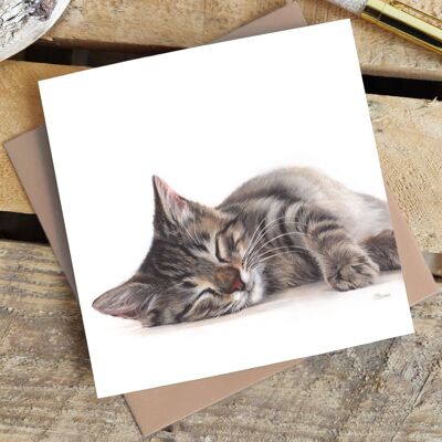 Greetings Card - Sleeping Cat