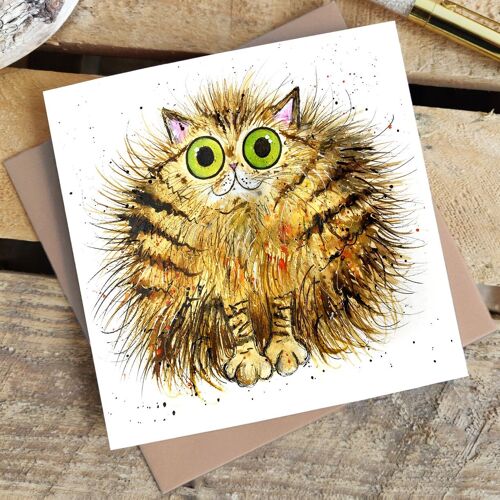 Greetings Card - Tommy the Cat