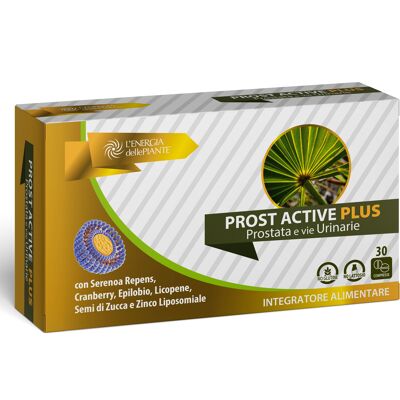 Prost Active Plus Tabletas de bienestar de la próstata