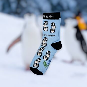 CHAUSSETTES EN COTON BIOLOGIQUE PINGOUINS FRIENDLY 2