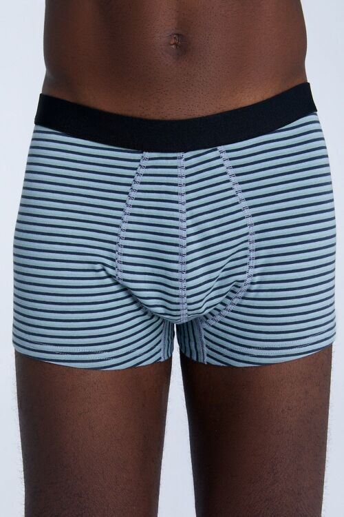 2121-083 | Men's Trunk Shorts - Agave/Navy/Grey Blue