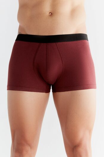 2121-11 | Short boxer homme - Bordeaux 4