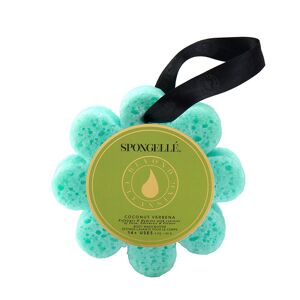 FLEUR SAUVAGE DE LA COLLECTION DAISY - VERVEINE COCO (VERTE) - SPONGELLE