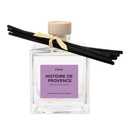 HISTOIRE DE PROVENCE