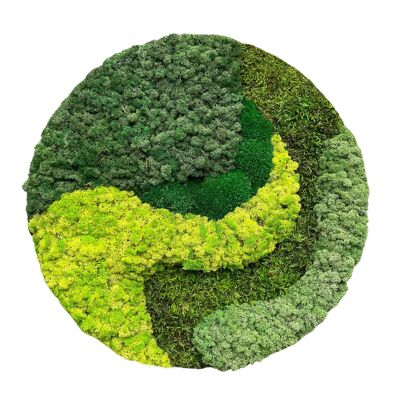 Moss painting - Moss painting round Ø60cm - Moss wall - Reindeer moss - Ball moss - Flat moss