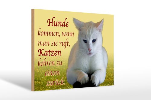 Holzschild Spruch 30x20cm Hunde kommen Katzen kehren zurück