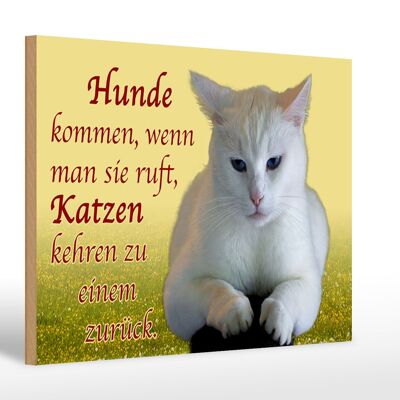 Holzschild Spruch 30x20cm Hunde kommen Katzen kehren zurück