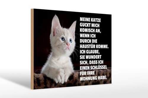 Holzschild Spruch 30x20cm Katze guckt mich komisch an