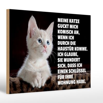 Holzschild Spruch 30x20cm Katze guckt mich komisch an