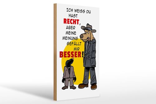 Holzschild Spruch 20x30cm meine Meinung gefällt mir besser