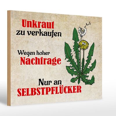 Holzschild Spruch 30x20cm Unkraut nur an Selbstpfücker