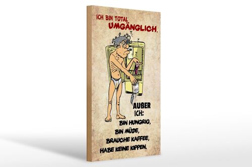 Holzschild Spruch 20x30cm bin total umgänglich außer