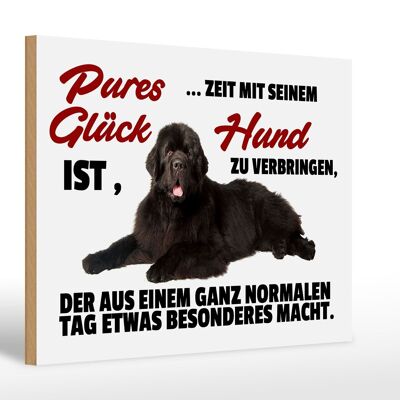 Holzschild Spruch 30x20cm pures Glück ist Zeit mit Hund