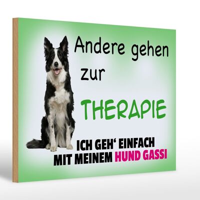 Holzschild Spruch 30x20cm ich geh' mit meinem Hund Gassi