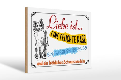 Holzschild Spruch 30x20cm Liebe ist eine feuchte Nase Kuss
