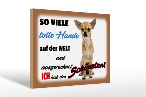 Holzschild Spruch 30x20cm ich hab den schönsten Hund