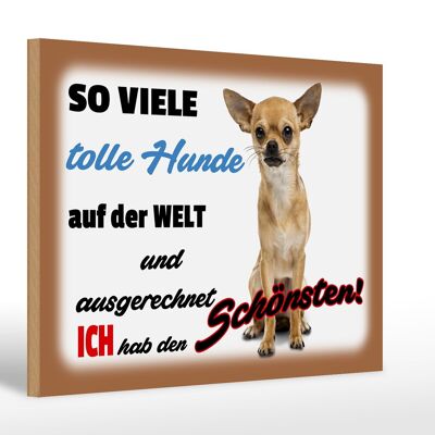 Holzschild Spruch 30x20cm ich hab den schönsten Hund