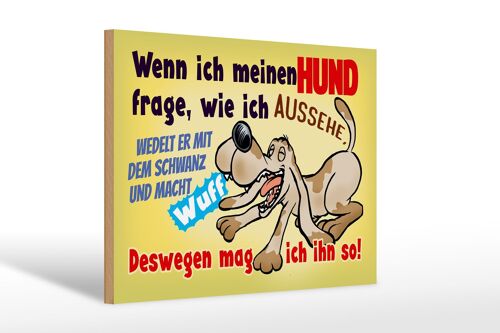 Holzschild Spruch 30x20cm wenn ich meinen Hund frage