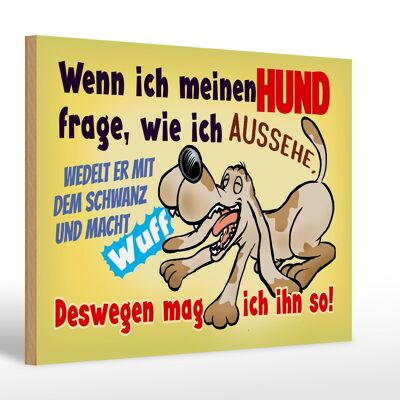 Holzschild Spruch 30x20cm wenn ich meinen Hund frage