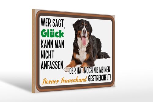 Holzschild Spruch 30x20cm wer sagt Glück Berner Sennenhund