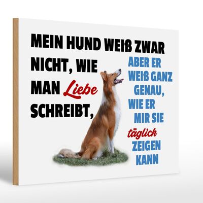 Holzschild Spruch 30x20cm mein Hund weiß zwar Hundeliebe